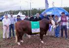 MARGARITA BELÉN: CONCLUYÓ CON ÉXITO LA PRIMERA EDICIÓN EXPO PRIMAVERA DE BRAFORD