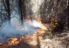INCENDIOS EN CHUBUT: AGUARDAN A LAS LLUVIAS PARA SOFOCAR LAS LLAMAS