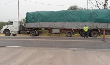 AGENTES VIALES DEMORAN UNA CARGA DE PRODUCTO FORESTAL CON ANOMALIAS EN SUS DOCUMENTACIONES