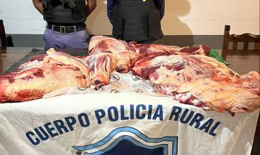 SECUESTRAN UN ARMA DE FUEGO Y 80 KILOS DE CARNE FAENADA DURANTE CONTROLES RURALES