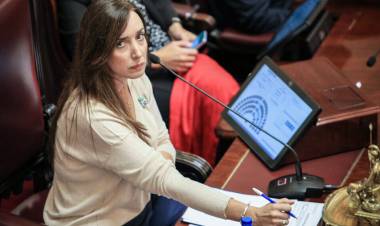 VICTORIA VILLARRUEL CERRÓ EL JARDÍN DE INFANTES QUE FUNCIONA EN EL SENADO