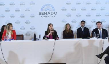 EL PLIEGO DE ARIEL LIJO COMO JUEZ DE LA CORTE SUPREMA SE TRATARÍA LA SEMANA PRÓXIMA EN EL SENADO