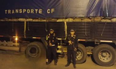 VIAJABA CON 28 MIL KILOS DE CARBÓN Y LO INCAUTARON EN LA RUTA 95 POR IRREGULARIDADES