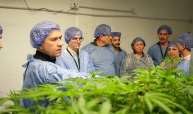 HISTÓRICO: LA EMPRESA CHAQUEÑA CANNAFIS EXPORTARÁ CANNABIS SATIVA 100 % MEDICINAL A NUEVA ZELANDA
