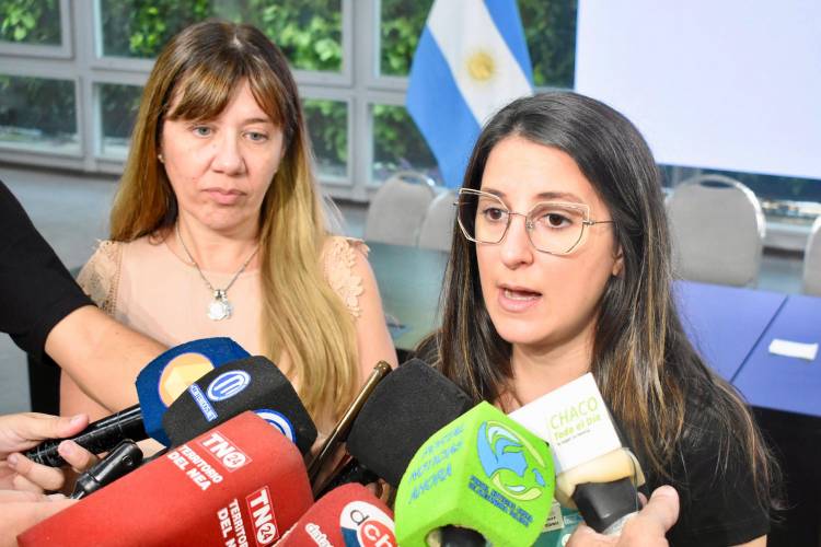 CHACO SIN CASOS DE DENGUE DESDE AGOSTO DE 2024