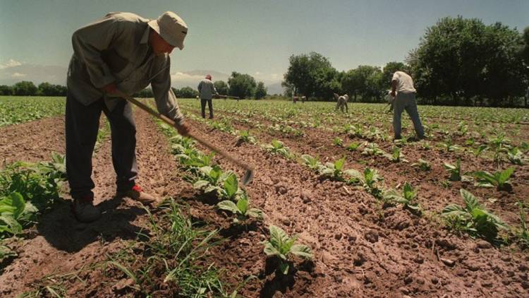 TRABAJO AGRARIO FIJA NUEVAS REMUNERACIONES MÍNIMAS PARA 11 ACTIVIDADES RURALES