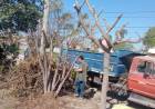 VILLA ÁNGELA: INTERVENCIÓN MUNICIPAL DE BACHEO, RECOLECCIÓN DE RAMAS Y LIMPIEZA