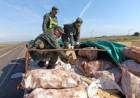 GENDARMERÍA DEMORÓ A UN CAMIÓN QUE LLEVABA 6 TONELADAS DE DROGA EN UN CARGAMENTO DE MANDIOCA