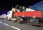 GENDARMERÍA INTERCEPTÓ CAMIONES CON 40 TONELADAS DE PLOMO Y ALUMINIO EN CORRIENTES