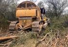 EL GOBIERNO DESMIENTE CIFRAS SOBRE DESMONTES EN EL CHACO DIFUNDIDAS POR GREENPEACE