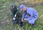 TIRARON DOS BOLSAS CON COGOLLOS DE MARIHUANA AL VER A LA POLICIA Y GENDARMERIA