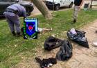  OPERATIVO CON ÉXITO: AGENTES DETIENEN A UN JOVEN POR SUPUESTO ROBO