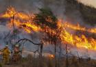EN LAS SIERRAS, AL FUEGO NO HAY QUIEN LO PARE