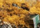 INCINERARON 3.500 BREZAS DE CIGARRILLOS SECUESTRADOS EN EL BARRIO SAN PEDRO PESCADOR