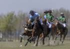 LA DOLFINA Y LA NATIVIDAD JUGARÁN LA FINAL DEL ABIERTO DE HURLINGHAM DE POLO