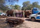 GUSTAVO VÁZQUEZ:"EL TRÁFICO ILEGAL DE MADERA ES ENORME Y SE PLANTEAN MEDIDAS URGENTES"