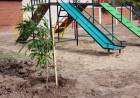 LA MUNICIPALIDAD DE VILLA ÁNGELA AVANZA CON LA FORESTACIÓN Y PARQUIZACIÓN EN LA PLAZA DEL BARRIO CÁMARA DE COMERCIO