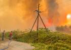 MOTOSIERRA, PERSECUCIÓN Y DESPIDOS: EL MÉTODO LIBERTARIO PARA COMBATIR EL FUEGO EN LA PATAGONIA