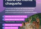 APRENDER EN VERANO: UNA EXPOSICIÓN DEL MONTE CHAQUEÑO DEL MUSEO DE CIENCIAS NATURALES LLEGA AL AULA TALLER MÓVIL Y EDUC.AR LAB CHACO