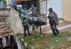 CON CUATRO CAMIONES EL MUNICIPIO RECORRE LA CIUDAD REALIZANDO LA RECOLECCION DE RAMAS