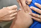 CHACO AVANZA CON LA VACUNACIÓN ANTIGRIPAL