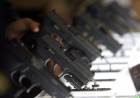 EL GOBIERNO HABILITÓ UN TRÁMITE "EXPRÉS" PARA LA TENENCIA DE ARMAS