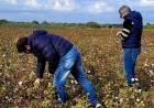 AHORA MÁS CAMPO: EL GOBIERNO PROVINCIAL HACE UN SEGUIMIENTO Y VERIFICA LOTES DE ALGODONEROS ASISTIDOS