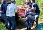DOS DETENIDOS POR ABIGEATO Y RESISTENCIA A LA AUTORIDAD