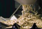 NUEVA PLANTA DE PAPAS CONGELADAS