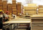 LA FORESTOINDUSTRIA PIDE UNA ACCIÓN CONJUNTA PARA EVITAR LA QUIEBRA DEL SECTOR