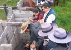 MEGAOPERATIVO POLICIAL PERMITIÓ RECUPERAR 62 ANIMALES