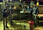 AVANZAN EN PRODUCCIÓN DE EMBRIONES BOVINOS IN VITRO