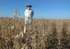 "TENEMOS MÁS PRODUCCIÓN, PERO TENEMOS MENOS PRODUCTORES", ADVIERTEN