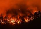 CALIFORNIA: UN INCENDIO FORESTAL ARRASÓ MÁS DE 800 HECTÁREAS
