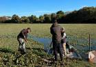 MONITOREO PERMANENTE: LA APA REFUERZA EL CONTROL AMBIENTAL DE LAS LAGUNAS DEL GRAN RESISTENCIA