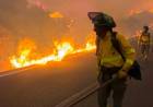 VIENTO ZONDA EN JUJUY: RÁFAGAS INÉDITAS EN 30 AÑOS CAUSARON DESTROZOS E INCENDIOS