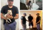 VILLA ÁNGELA: COMISARÍA SEGUNDA ESCLARECIÓ UN HECHO DE HURTO Y RECUPERÓ EL ANIMAL SUSTRAÍDO