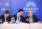 EL SENADO TOMA EXAMEN A BERTUZZI Y YADAROLA QUE TENDRÁN EN SUS MANOS CAUSAS CLAVES PARA EL GOBIERNO