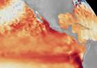 SÚPER EL NIÑO: LA PROBABILIDAD DE QUE SEA MUY FUERTE TREPÓ A 95% Y CHACO, ENTRE LAS SEIS PROVINCIAS MÁS EXPUESTAS