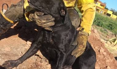 VILLA ÁNGELA: BOMBEROS RESCATAN UN PERRO QUE CAYÓ EN UN POZO DE TRES METROS