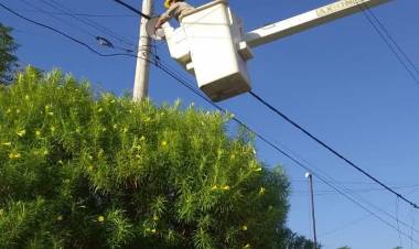 EL MUNICIPIO TRABAJA EN EL PLAN DE MEJORA INTEGRAL DEL ALUMBRADO PÚBLICO DE LA CIUDAD