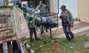 CON CUATRO CAMIONES EL MUNICIPIO RECORRE LA CIUDAD REALIZANDO LA RECOLECCION DE RAMAS