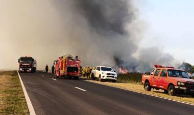INCENDIO RURAL: TRABAJOS DE SECHEEP PARA REPONER POSTES QUEMADOS Y KILÓMETROS DE LÍNEAS EN BASAIL