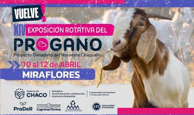 EN EL CEDEPRO DE MIRAFLORES SE REALIZARÁ LA EXPO ROTATIVA DEL PROGANO