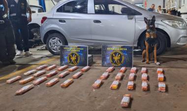 CONSUMOS PROBLEMÁTICOS PUSO FIN A LA “BANDA DEL DELFÍN”: CAYERON OTROS 3 IMPLICADOS