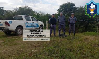 ESCLARECIERON UN ROBO Y RECUPERAN CABLE DE LA PLANTA POTABILIZADORA DE SAMEEP