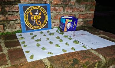 OPERATIVO ANTIDROGAS EN GENERAL SAN MARTÍN: UN DETENIDO CON MARIHUANA