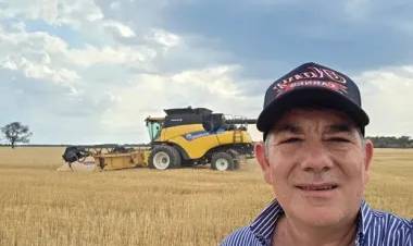 REMATE PRIMICIA NACIONAL DE TRIGO, QUE SALIÓ DE CHACO