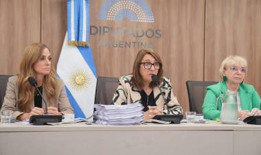 FENTANILO CONTAMINADO: LA COMISIÓN INVESTIGADORA PRESENTÓ EL INFORME FINAL CON 20 RECOMENDACIONES SANITARIAS