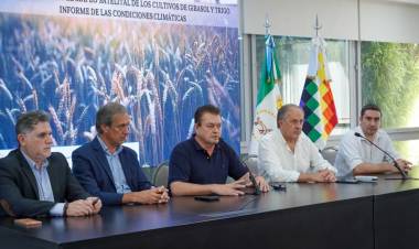 EL GOBIERNO PROVINCIAL PRESENTÓ DATOS OFICIALES SOBRE LA SIEMBRA DE TRIGO Y GIRASOL